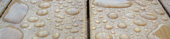 Wood Sealers