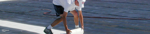 Fabric Reinforced Coatings
